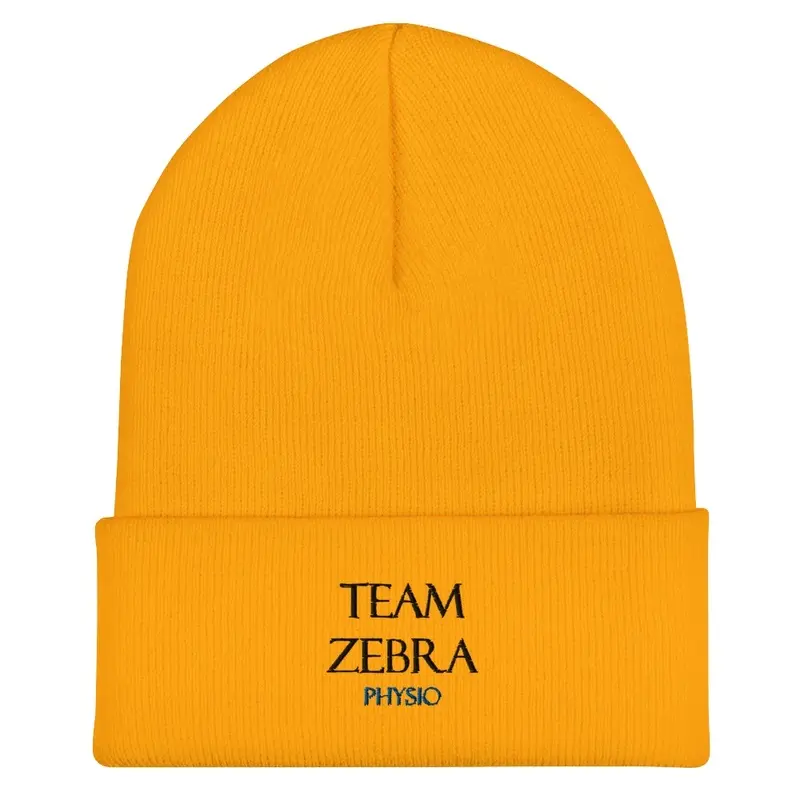 Team Zebra Physio Beanie